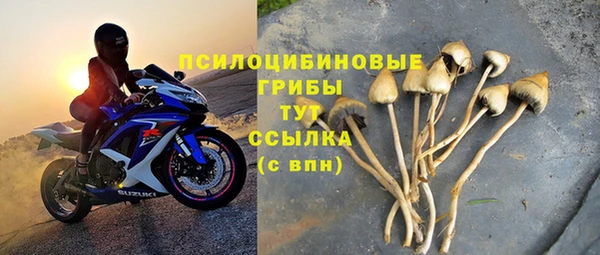 стаф Белоозёрский