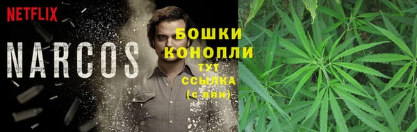 стаф Белоозёрский